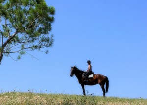 Passeggiata a cavallo in Toscana